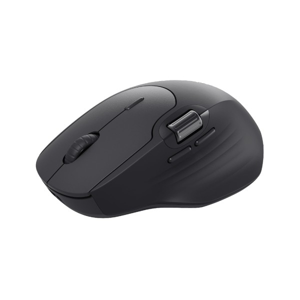 Компьютерная мышь Rapoo MT560 Black