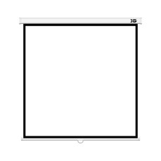 Экран XG DLS-M244W (96