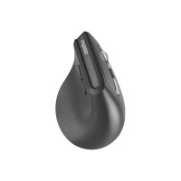 Компьютерная мышь Rapoo EV310M