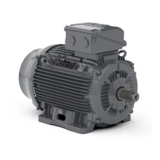 Асинхронный электродвигатель WEG 17725342 WGOST-132M 11 кВт 2P B3T 220/380 В 50 Гц