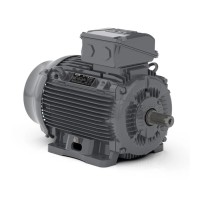 Асинхронный электродвигатель WEG 17725872 WGOST-132M/L 11 кВт 4P B3T 220/380 В 50 Гц